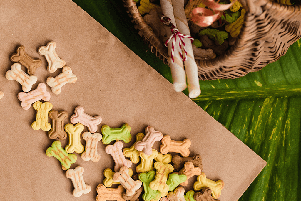 Dog Training Treats: High Value Vs Low Value