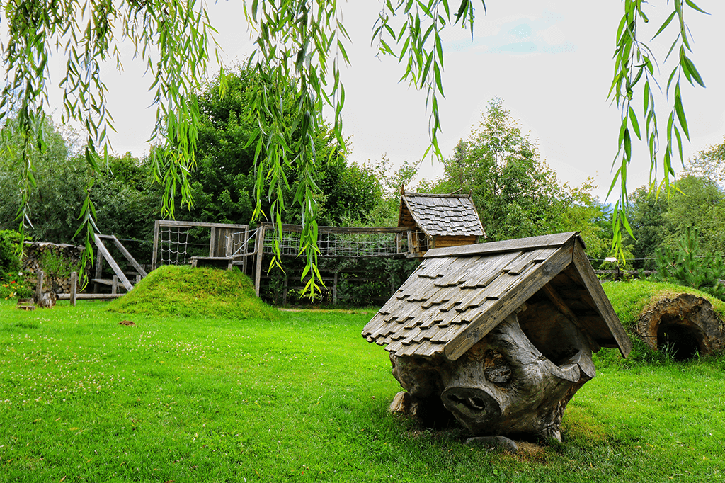 How To Create A Sensory Garden For Dogs