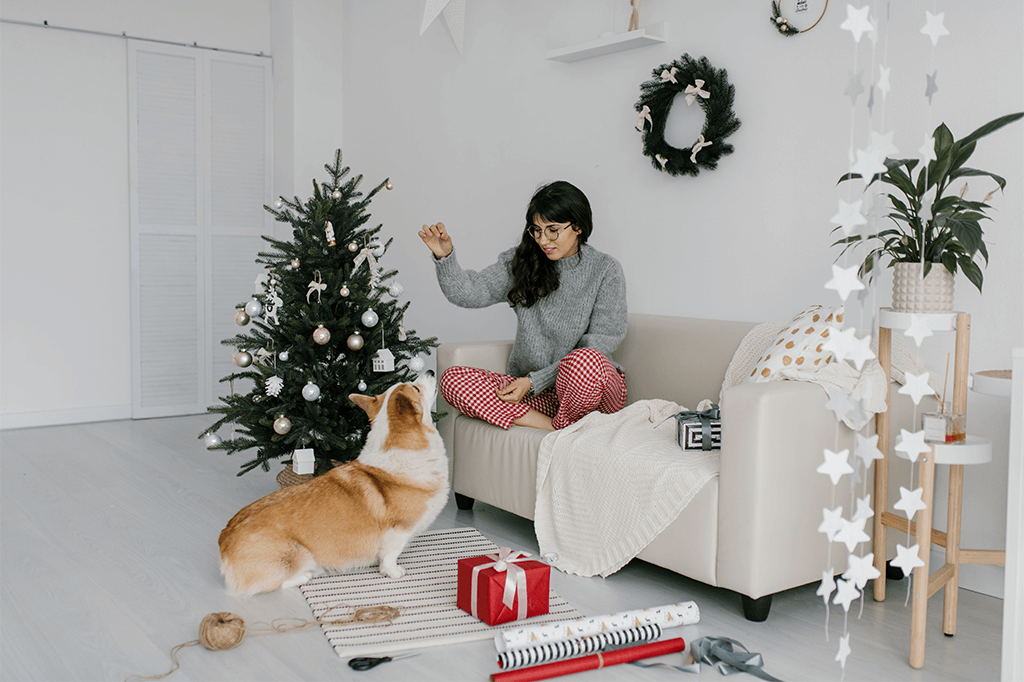 Clicker Training Your Dog: How To Get Started